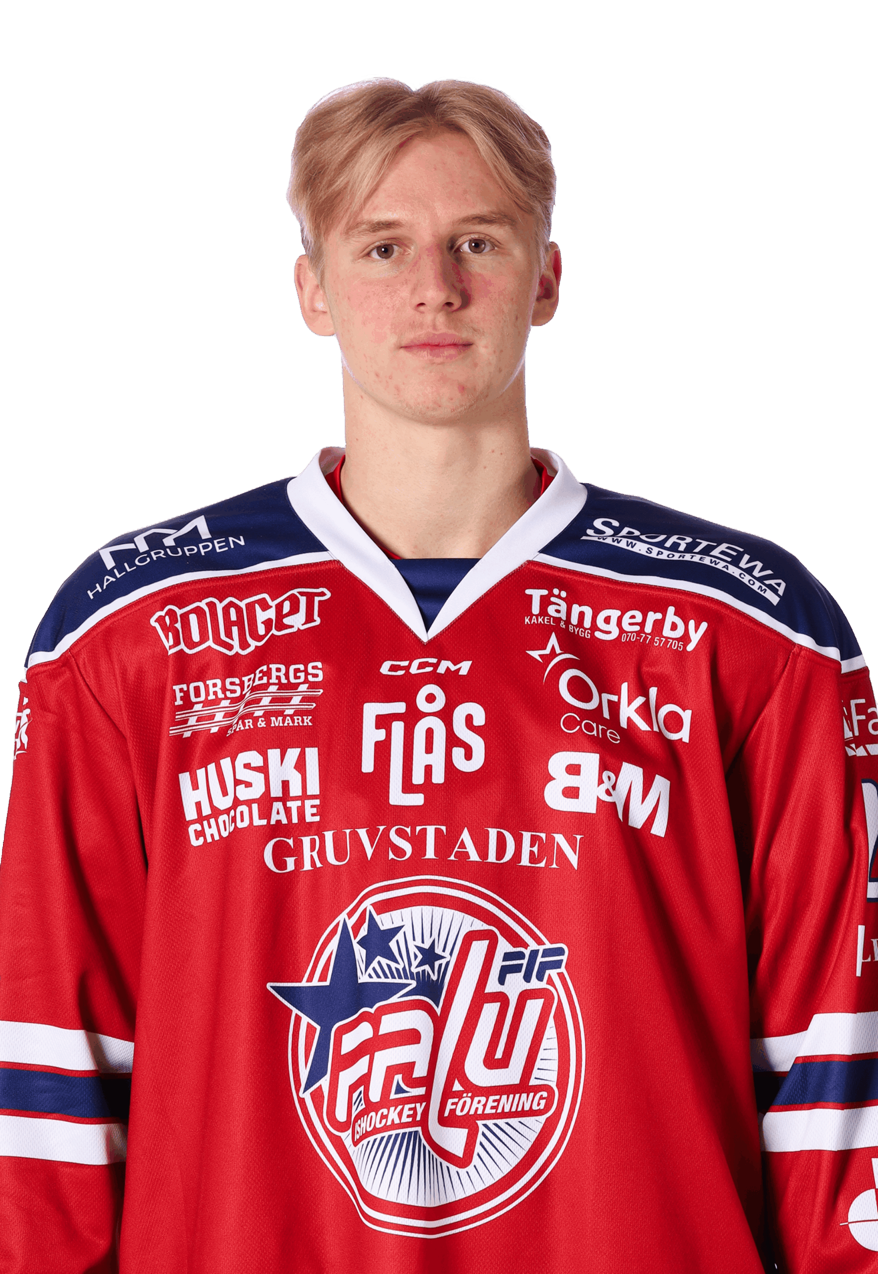 Ludwig Sundström