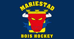 www.hockeyettan.se