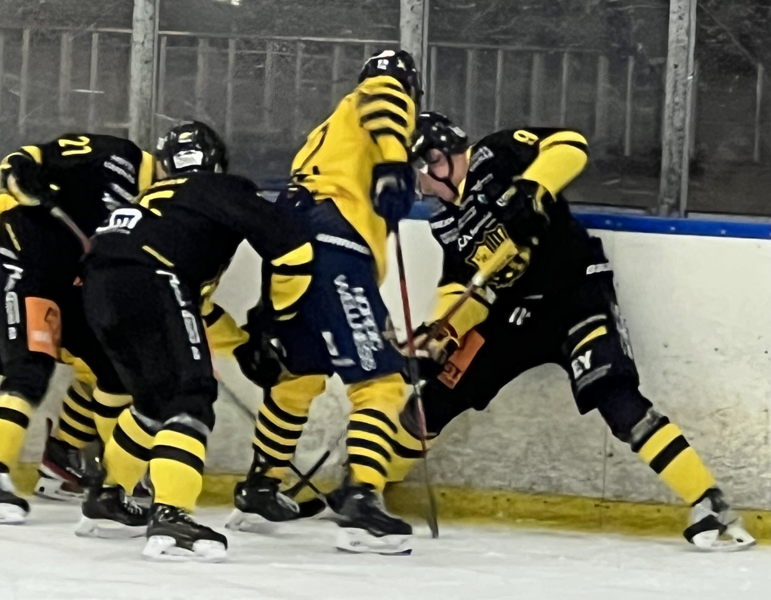 Säsongen över! Hockeyettan.se